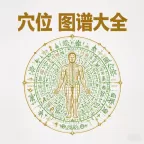 穴位图谱大全v1.0.6